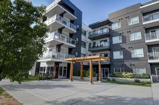Photo 1: 217 4150 Seton Drive SE in Calgary: Seton Apartment for sale : MLS®# A2081375