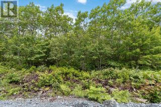 Photo 19: Lot 7 Maple Ridge Drive in White Point: Vacant Land for sale : MLS®# 202315168