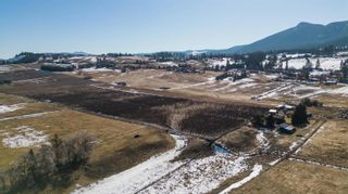 Photo 12: Lot 6/7 Springfield Road, in Coldstream: Agriculture for sale : MLS®# 10271002