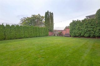 Photo 18: 3065 MCCRAE Street in Abbotsford: Abbotsford East House for sale : MLS®# R2399298
