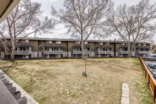 Photo 7: 34 8112 36 Avenue NW in Calgary: Bowness Row/Townhouse for sale : MLS®# A2128421