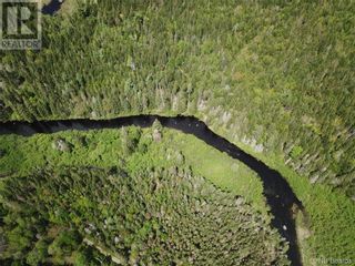 Photo 28: Lot B Canoose Stream Road in Canoose: Vacant Land for sale : MLS®# NB090910