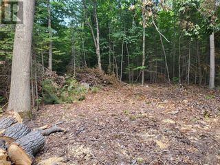 Photo 4: N/A Hwy 542 in Mindemoya: Vacant Land for sale : MLS®# 2112599