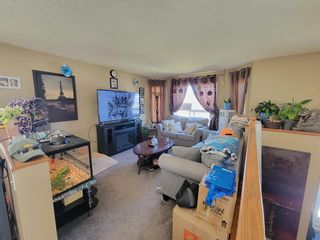 Photo 5: 63 Applemead Court SE in Calgary: Applewood Park Detached for sale : MLS®# A2046490
