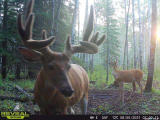 Photo 13: Hunting & Adventure Quarter Section in Parkdale: Lot/Land for sale (Parkdale Rm No. 498)  : MLS®# SK927498
