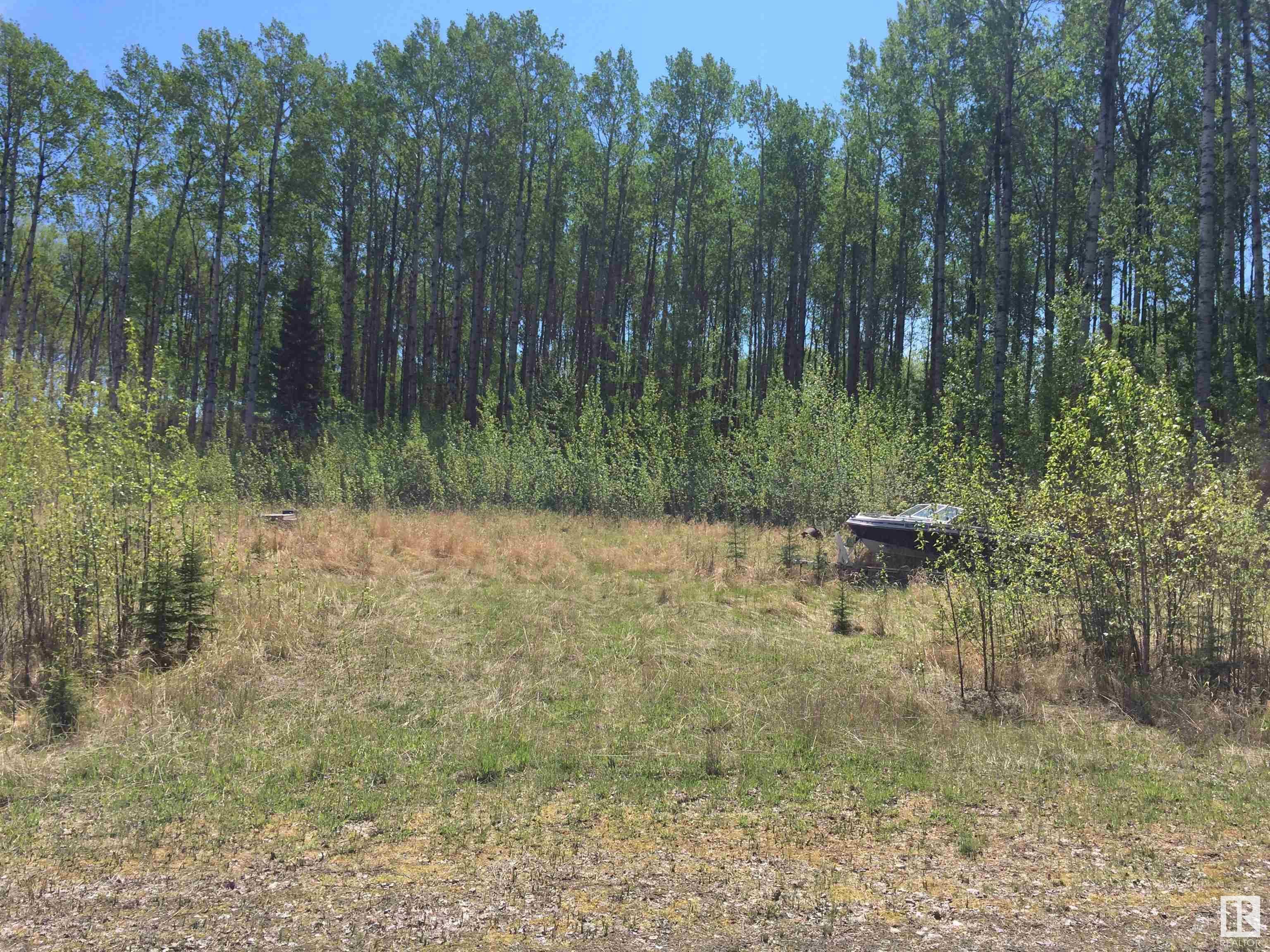 Main Photo: 9 Moose LN: Rural Lesser Slave River M.D. Rural Land/Vacant Lot for sale : MLS®# E4307409