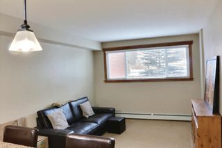 Photo 6: 110 315 50 Avenue SW in Calgary: Windsor Park Apartment for sale : MLS®# A2016609