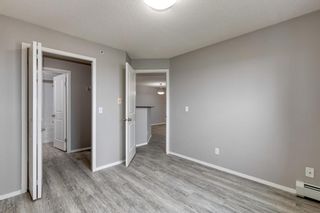 Photo 17: 3418 10 Prestwick Bay SE in Calgary: McKenzie Towne Apartment for sale : MLS®# A1252409