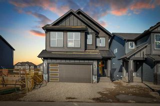 Main Photo: 1197 Chinook Gate Bay SW: Airdrie Detached for sale : MLS®# A2110021