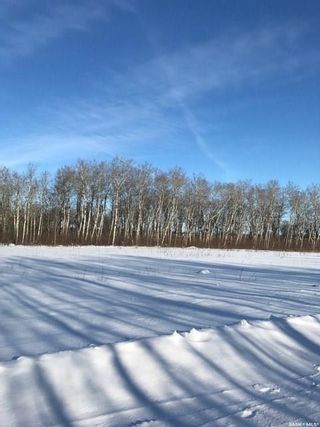 Photo 8: 230 7th Avenue Northeast in Preeceville: Lot/Land for sale : MLS®# SK899491