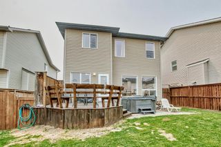 Photo 40: 449 Evanston View NW in Calgary: Evanston Detached for sale : MLS®# A2049902