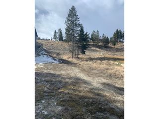Photo 10: 211 PINETREE ROAD in Invermere: Vacant Land for sale : MLS®# 2470366