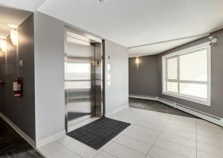 Photo 3: 3402 240 Skyview Ranch Road NE in Calgary: Skyview Ranch Apartment for sale : MLS®# A1222860