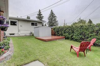 Photo 19: 3611 54 Avenue SW in Calgary: Lakeview Detached for sale : MLS®# C4253256