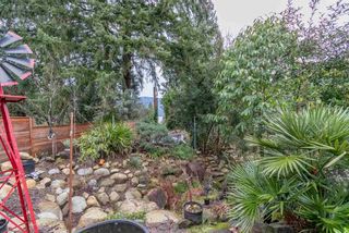 Photo 16: 2006 PANORAMA Drive in North Vancouver: Deep Cove House for sale : MLS®# R2526705