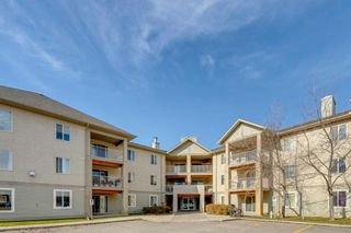 Main Photo: 219 3000 Citadel Meadow Point NW in Calgary: Citadel Apartment for sale : MLS®# A2130196