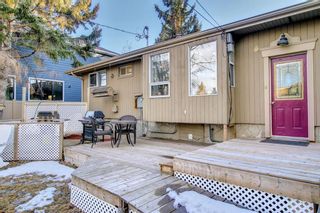 Photo 38: 4614 70 Street in Calgary: Bowness Detached for sale : MLS®# A1193841
