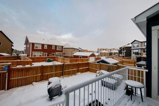 Photo 34: 146 Masters Terrace SE in Calgary: Mahogany Detached for sale : MLS®# A1185135