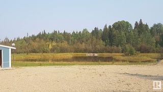 Photo 8: 75040 B & C TWP RD 451: Rural Wetaskiwin County House for sale : MLS®# E4323994