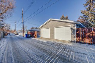 Photo 35: 3421 19 Avenue SE in Calgary: Southview Detached for sale : MLS®# A2019287