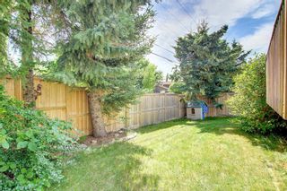 Photo 45: 336E Silvergrove Place NW in Calgary: Silver Springs Detached for sale : MLS®# A1244096