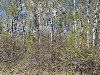 Photo 5: 0 Rd 48 N Road in Tache Rm: Vacant Land for sale : MLS®# 202321158