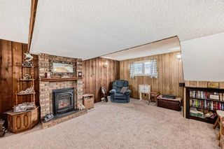 Photo 23: 3816 Dover Ridge Drive SE in Calgary: Dover Detached for sale : MLS®# A2124560