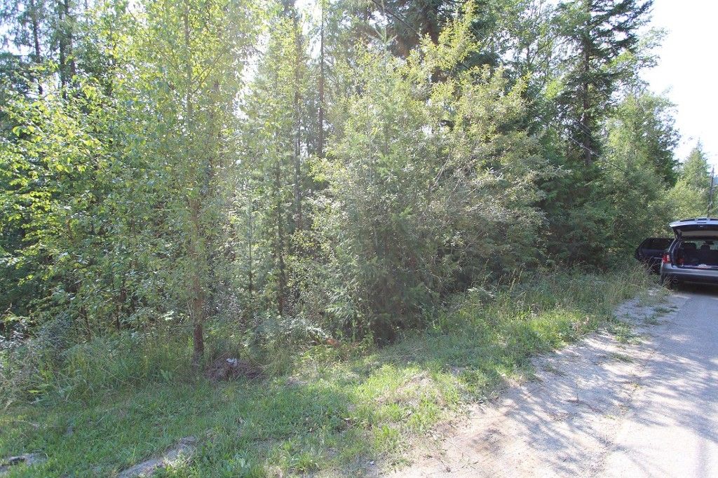 Main Photo: Lot 91 Anglemont Way in Anglemont: Land Only for sale (Shuswap)  : MLS®# 10069930