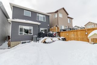 Photo 38: 201 Nolancrest Circle NW in Calgary: Nolan Hill Detached for sale : MLS®# A1208873