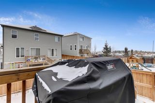 Photo 42: 61 Windford Park SW: Airdrie Detached for sale : MLS®# A1170299
