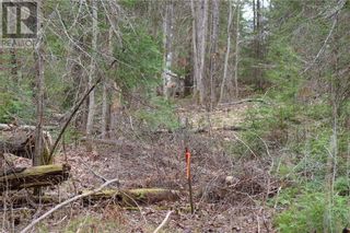 Photo 8: 00 Faraway in Espanola: Vacant Land for sale : MLS®# 2115111