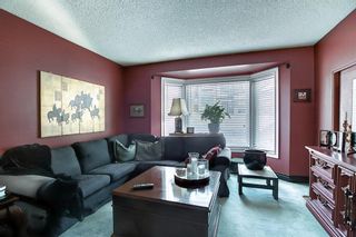 Photo 15: 4635 22 Avenue NW in Calgary: Montgomery Detached for sale : MLS®# A1068719