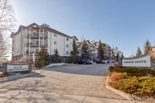 Photo 29: 414 33 Arbour Grove Close NW in Calgary: Arbour Lake Apartment for sale : MLS®# A2036582