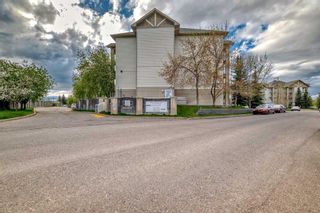 Photo 45: 209 1717 60 Street SE in Calgary: Red Carpet Apartment for sale : MLS®# A2133379