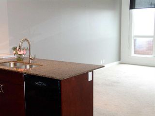 Photo 9: 312 8880 Horton Road SW in Calgary: Haysboro Apartment for sale : MLS®# A2118790