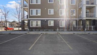 Photo 39: 4303 522 Cranford Drive SE in Calgary: Cranston Apartment for sale : MLS®# A2123266