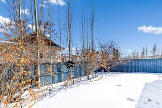 Photo 26: 287 Panamount Drive NW in Calgary: Panorama Hills Detached for sale : MLS®# A2032891