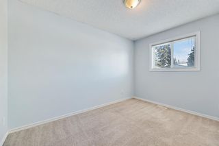 Photo 25: 331 19 Street NE in Calgary: Mayland Heights Detached for sale : MLS®# A2011674