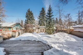 Photo 42: 3030 5 Street SW in Calgary: Rideau Park House for sale : MLS®# C4173181
