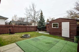 Photo 22: 150 Dovercliffe Close SE in Calgary: Dover Detached for sale : MLS®# A2130723
