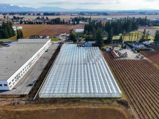 Main Photo: 31433 KING Road in Abbotsford: Poplar Agri-Business for sale : MLS®# C8058348