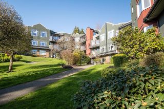 Photo 16: 318 121 W 29TH Street in North Vancouver: Upper Lonsdale Condo for sale : MLS®# R2602824