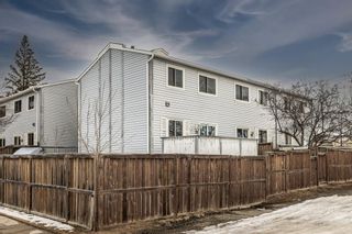 Photo 5: 101 300 Falconridge Crescent NE in Calgary: Falconridge Row/Townhouse for sale : MLS®# A2014092
