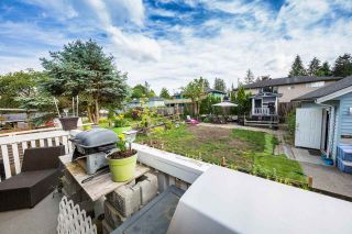 Photo 18: 21664 126 Avenue in Maple Ridge: West Central House for sale : MLS®# R2186936