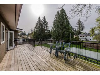 Photo 18: 33124 KAY Avenue in Abbotsford: Central Abbotsford House for sale : MLS®# R2258671