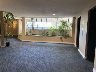 Photo 5: 316 8451 WESTMINSTER Highway in Richmond: Brighouse Condo for sale in "THE ARBORETUM II" : MLS®# R2532436