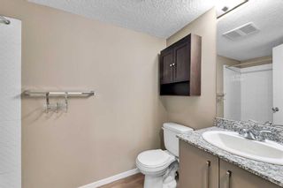 Photo 16: 1205 4641 128 Avenue NE in Calgary: Skyview Ranch Apartment for sale : MLS®# A2124439