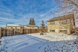 Photo 20: 3795 44 Avenue NE in Calgary: Whitehorn Detached for sale : MLS®# A2012349