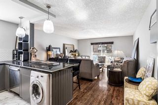 Photo 7: 202 912 19 Avenue SW in Calgary: Lower Mount Royal Apartment for sale : MLS®# A2113538