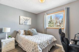 Photo 19: 44 Waterstone Crescent SE: Airdrie Detached for sale : MLS®# A2089276